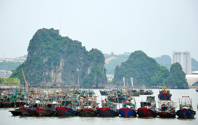 Tàu, thuyền khẩn trương về nơi tránh trú bão an toàn