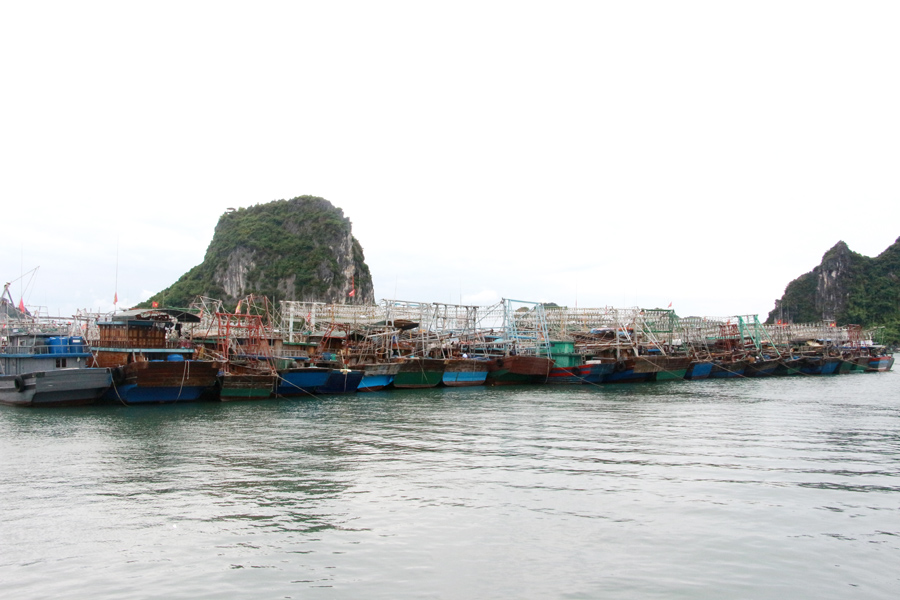 Tàu đánh cá tuyến khơi về neo đậu tại khu vực cảng Cái Rồng.