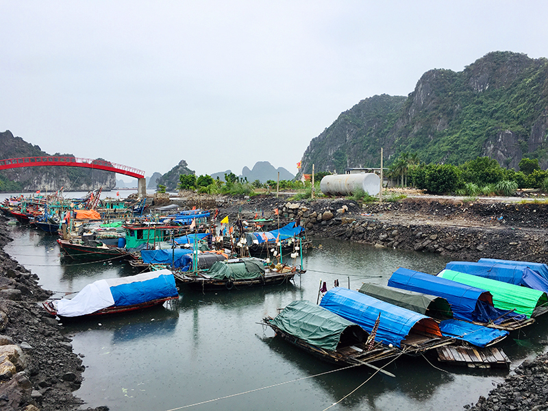 Tàu thuyền neo đậu tại khu vực bãi tắm Quảng Hồng, phường Cẩm Sơn Cẩm Phả 