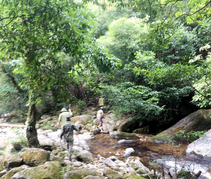 ực lượng chức năng của huyện Hải Hà tuần tra, bảo vệ rừng phòng hộ.