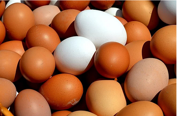 Trứng gà nhiều protein, kẽm, vitamin nhưng ít calo và cholesterol. Ảnh: Health