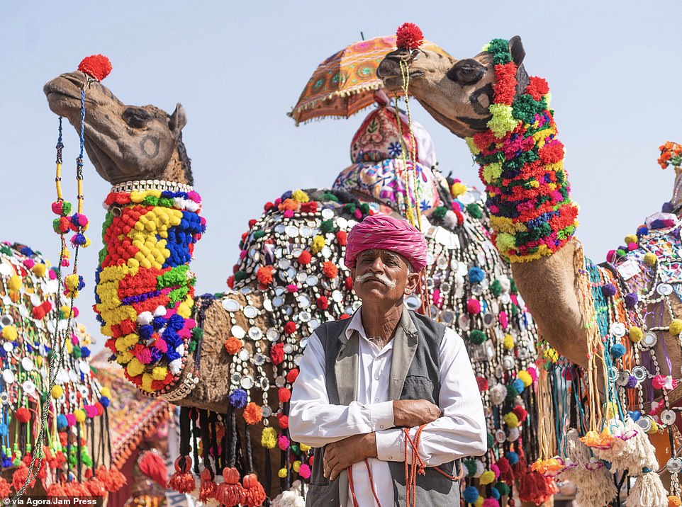 Nhiếp ảnh gia Carles Alonso đến từ Tây Ban Nha gửi đến AGORA Images Beauty 2019 bức ảnh chụp một cuộc thi sắc đẹp lạc đà ở Ấn Độ.