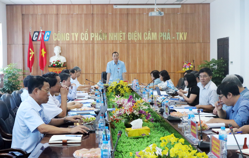 Đồng chí Trần Văn Minh, Phó Chủ nhiệm Ủy ban KHCN&MT Quốc hội phát biểu tại buổi giám sát.
