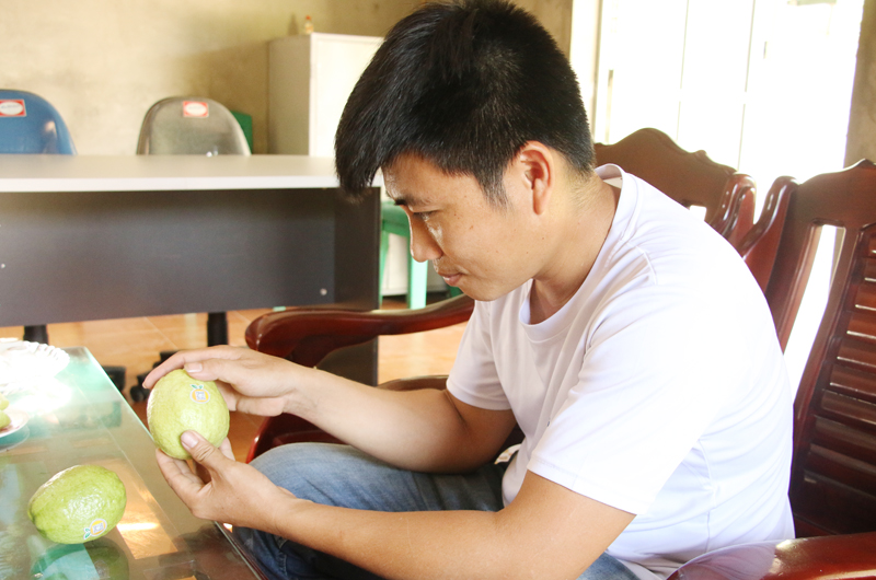 Anh Hà Quang Nam kiểm tra việc gắn mã QR lên các sản phẩm nông sản của trang trại gia đình.