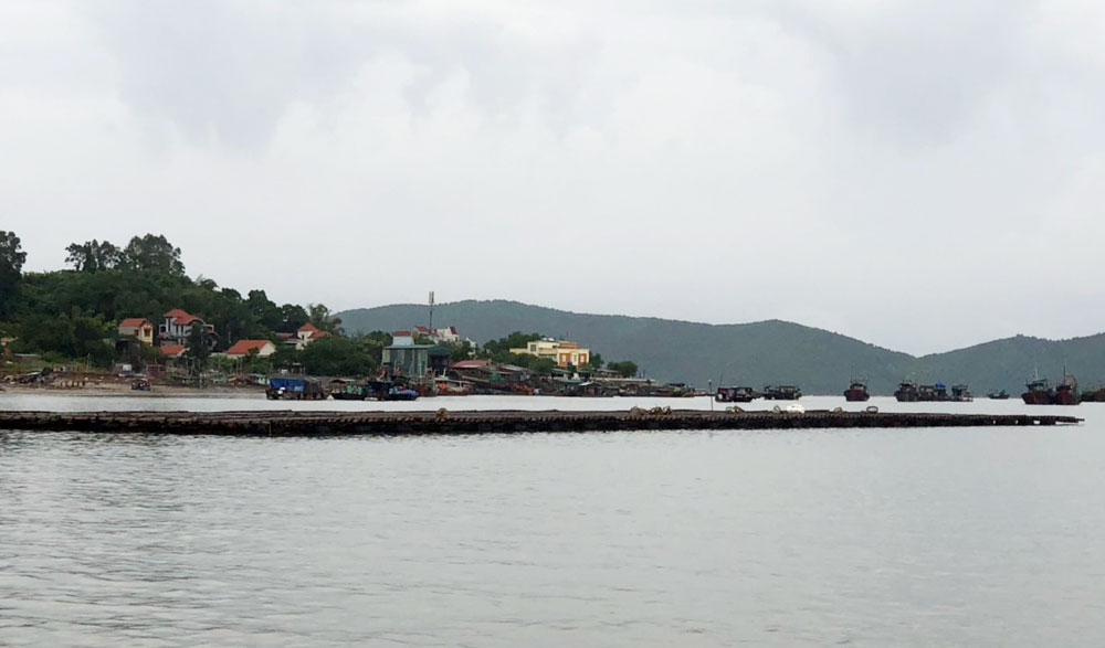 Các bè nuôi trồng thủy sản trái phép tại khu vực Lỗ Cua, gần bến Mũi Ngọc, phường Bình Ngọc
