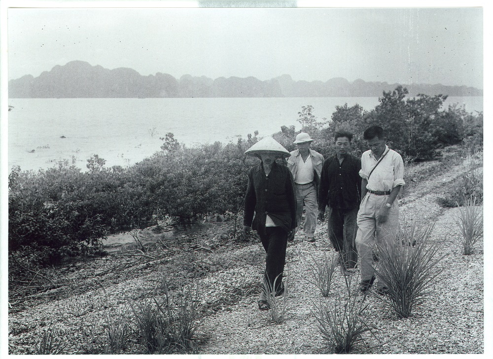 Chủ tịch Hồ Chí Minh thăm đảo Tuần Châu, ngày 5/10/1957. Cùng đi với Người là đồng chí Nguyễn Tuân, Bí thư Khu uỷ Hồng Quảng. 