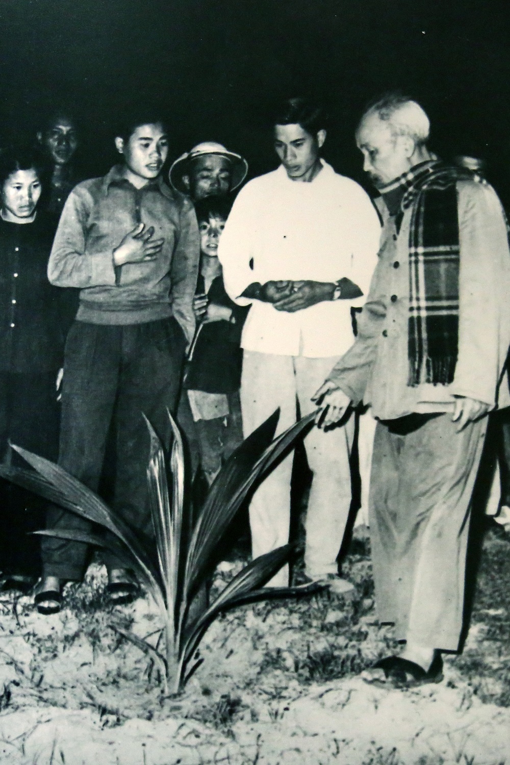 Chủ tịch Hồ Chí Minh thăm, nói chuyện với cán bộ, nhân dân đảo Tuần Châu, chiều tối ngày 30/3/1959.