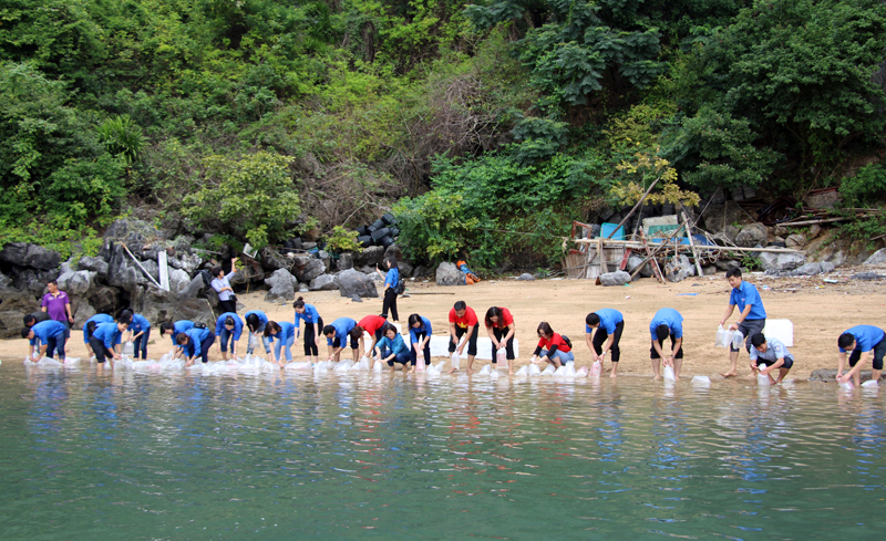Đoàn viên thanh niên ra quân thực hiện chương trình tái tạo nguồn lợi thủy sản.