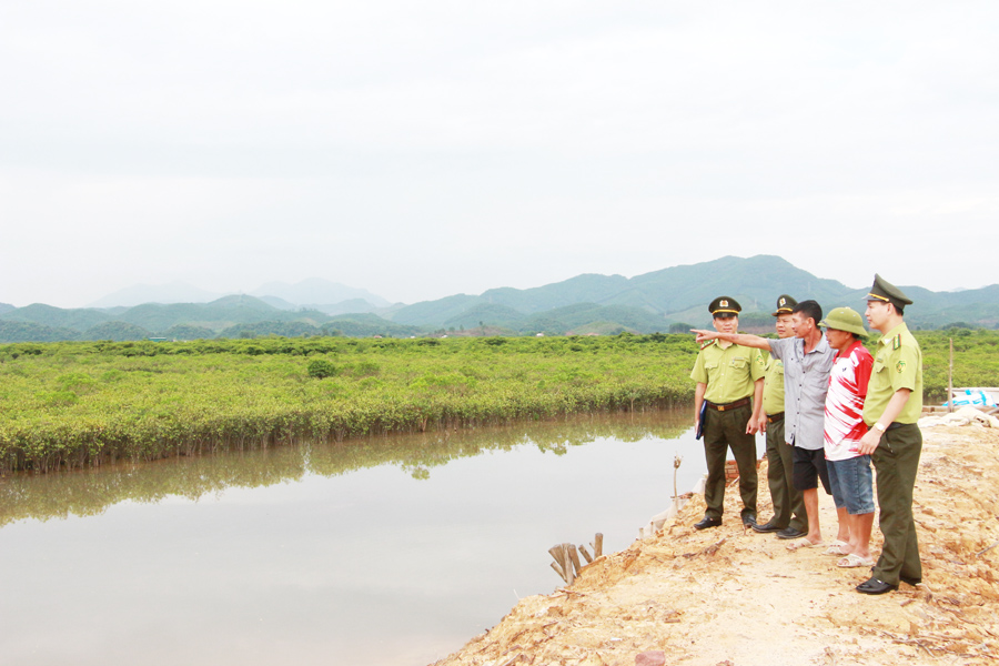 Lực lượng kiểm lâm cùng người dân xã Đồng Rui (Tiên Yên) trao đổi về công tác quản lý, bảo vệ rừng ngập mặn. Ảnh: Mạnh Trường