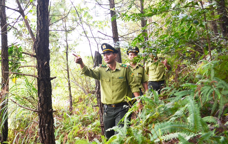 Lực lượng kiểm lâm Quảng Ninh tuần tra, kiểm soát rừng, giữ 