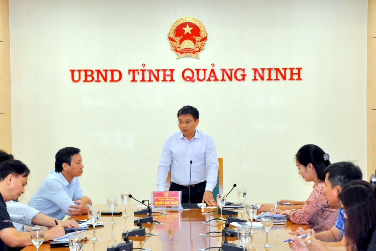 Đồng chí Nguyễn Văn Thắng, Phó Bí thư Tỉnh ủy, Chủ tịch UBND tỉnh kết luận cuộc họp.