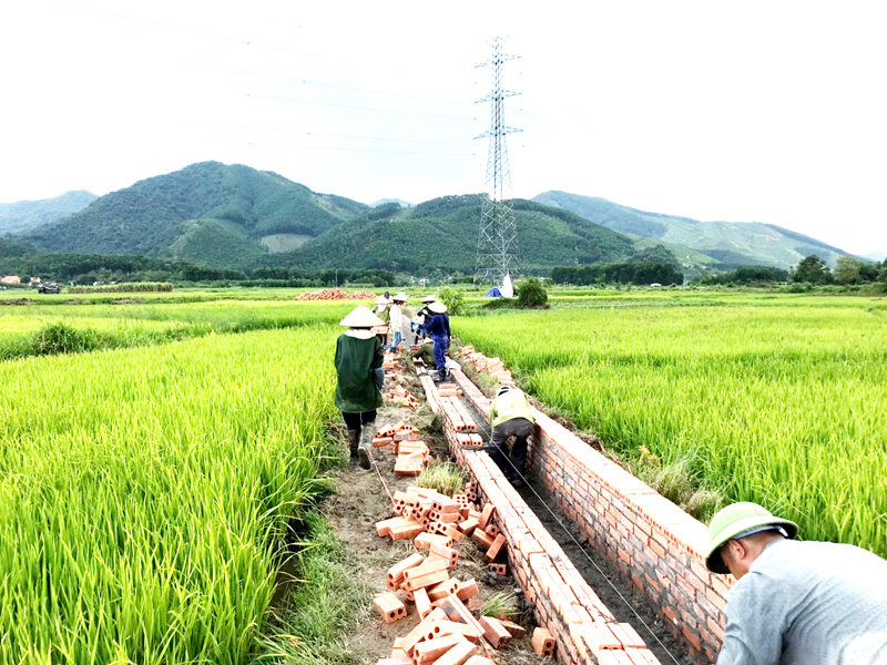 Nhiều tuyến kênh mương nội đồng ở xã Quảng La, huyện Hoành Bồ được xây dựng từ nguồn kinh phí của Nhà nước, công sức của nhân dân.