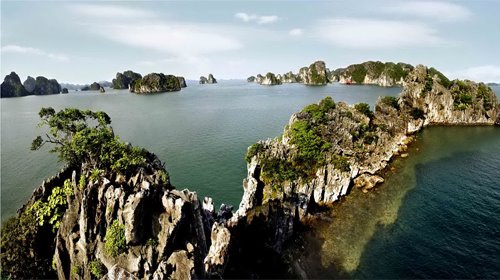 In addition to preserving and promoting the available values of Ha Long Bay, protecting Ha Long Bay’s environment is always one of the key tasks 