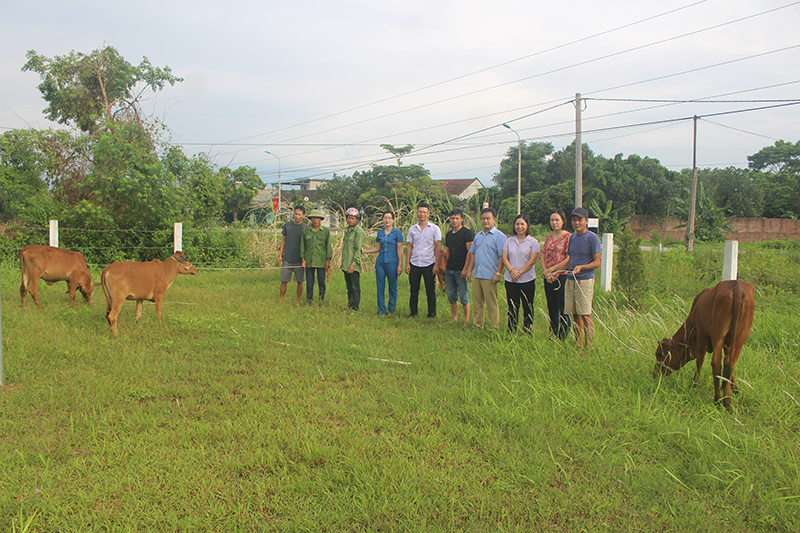 Lãnh đạo Phòng LĐ-TB&XH huyện Hải Hà trao bò giống sinh sản cho các hộ nghèo tại xã Quảng Chính (huyện Hải Hà).