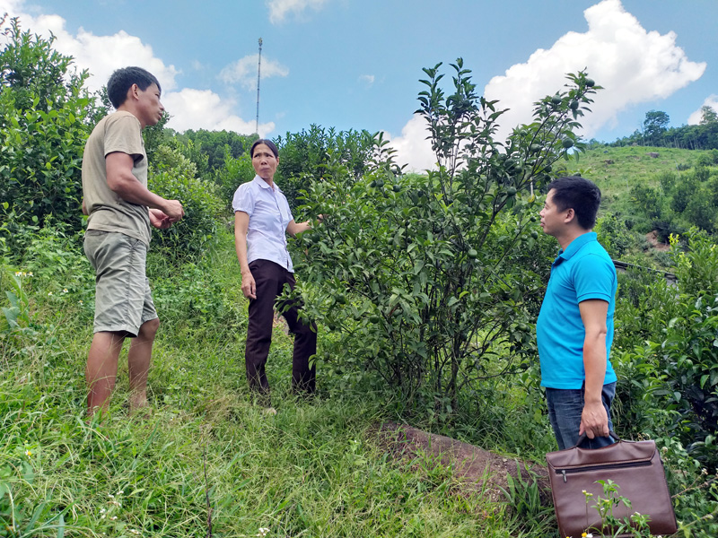 Chị Lê Thị Bảy chia sẻ kinh nghiệm trồng cam với các hộ trong thôn