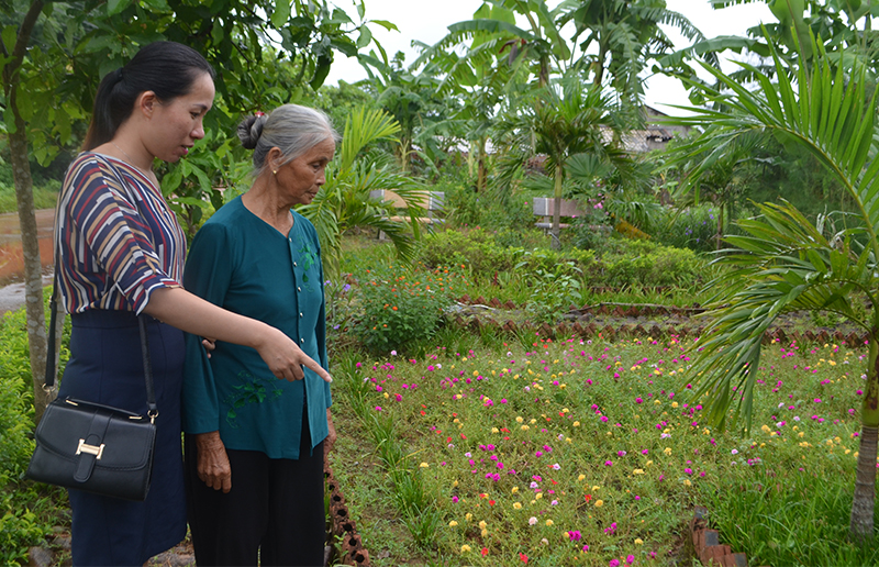 Bà Nguyễn Thị Đặng giới thiệu vườn hoa của thôn.