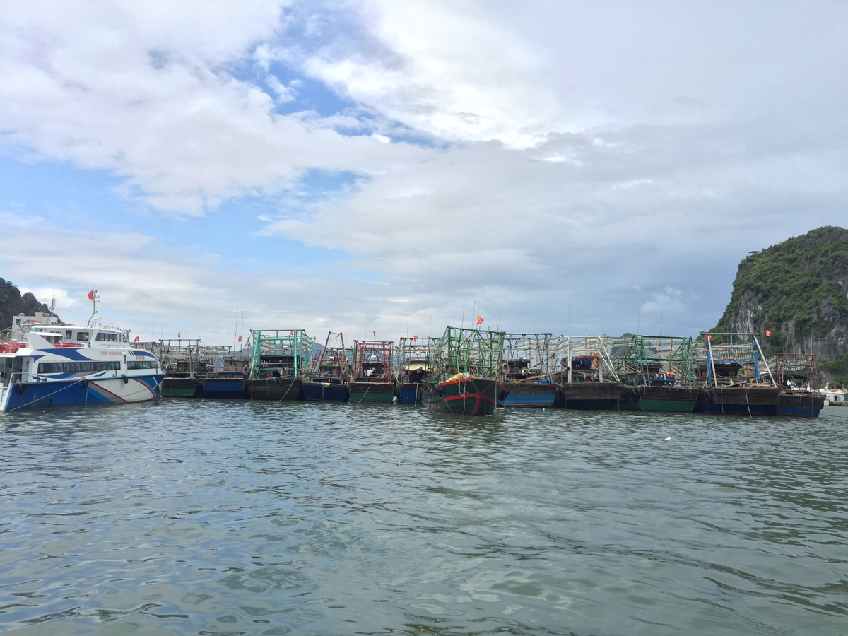 Các phương tiện khai thác, đánh bắt thủy sản neo đậu tại cảng Cái Rồng huyện Vân Đồn