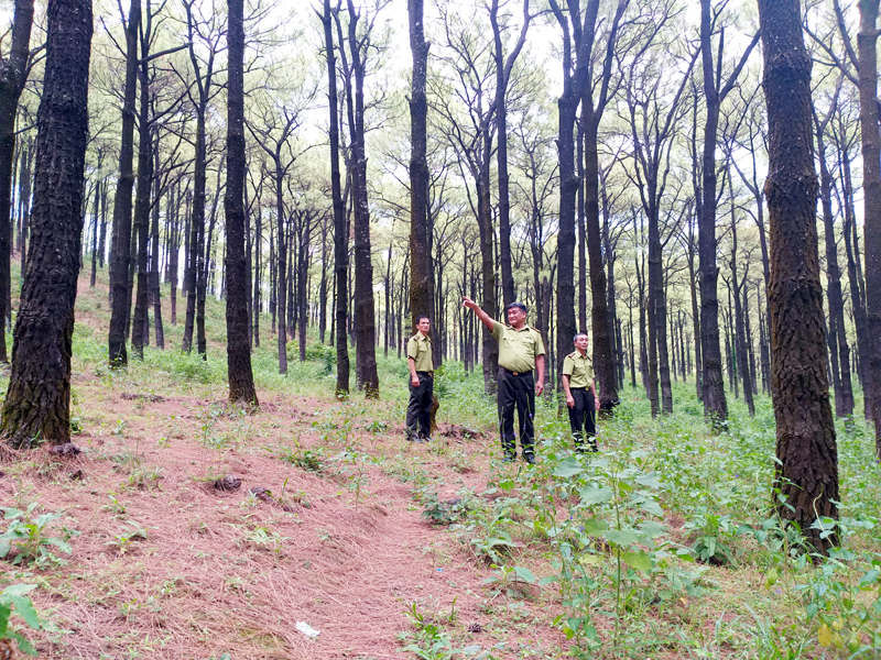 Cán bộ Hạt Kiểm lâm TX Quảng Yên tuần tra, kiểm soát khu rừng đặc dụng tại phường Minh Thành