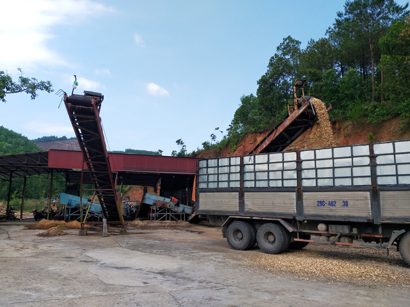 Cơ sở chế biến gỗ của Công ty TNHH MTV Lâm nghiệp Hoành Bồ được cấp phép, quản lý hoạt động đúng quy định của pháp luật