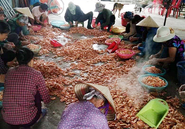 Hộ gia đình bà Phạm Thị Liên, thôn 15 chế biến tôm khô là một trong những sản phẩm OCOP) của địa phương.