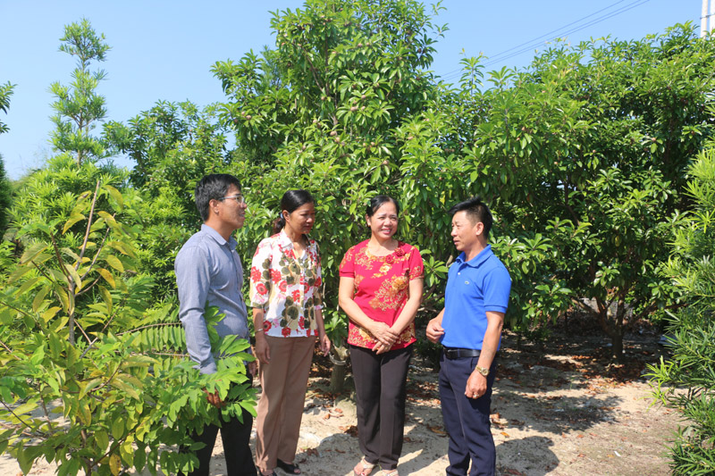 Các đồng chí đảng viên chi bộ thôn Nam Đồng đến thăm hỏi tình hình sản xuất của bà con trong thôn.