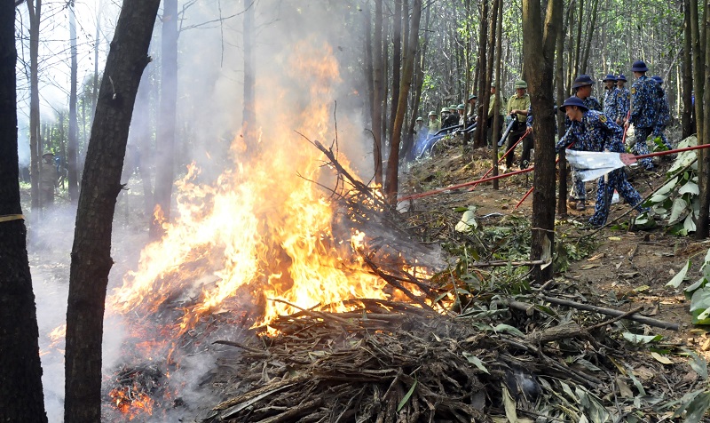 Lực lượng chức năng TP Cẩm Phả tham gia chữa cháy rừng tình huống 2.