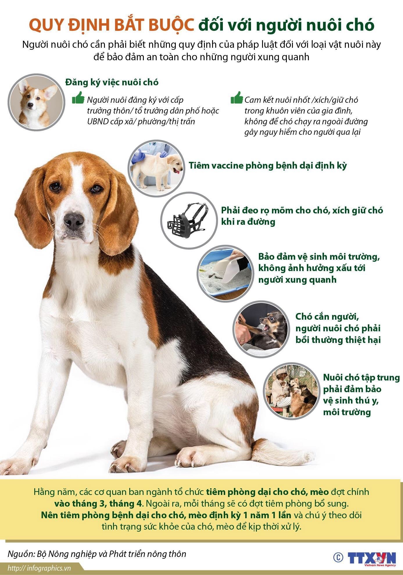Những quy định bắt buộc mà chủ nuôi chó cần phải nắm rõ.