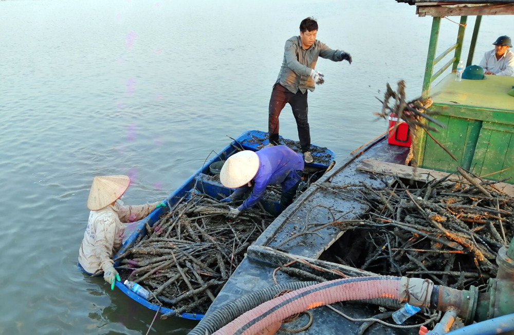 Các hộ dân xã Thống Nhất (huyện Hoành Bồ) tự nguyện tháo dỡ cọc treo hà 