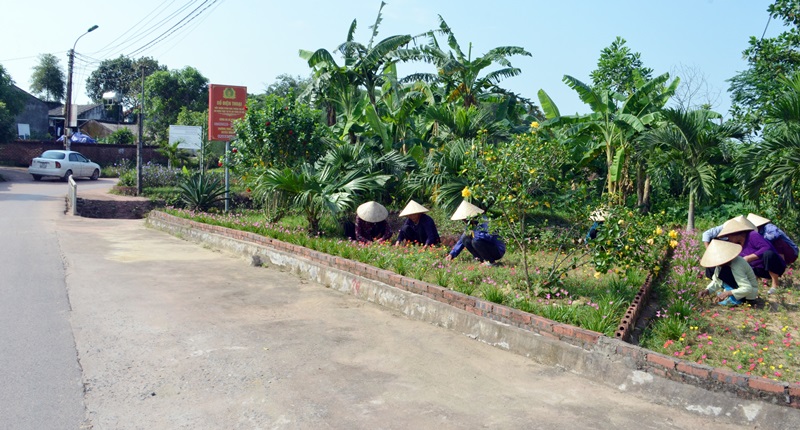 Hội viên NCT thôn Nàng Nhội xã Đông Hải (huyện Tiên Yên) trồng hoa tại tuyến đường kiểu mẫu tại thôn.