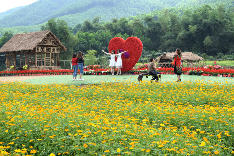 Thung lũng hoa Yên Tử, xã Thượng Yên Công hàng ngày có nhiều du khách đến thưởng thức hoa