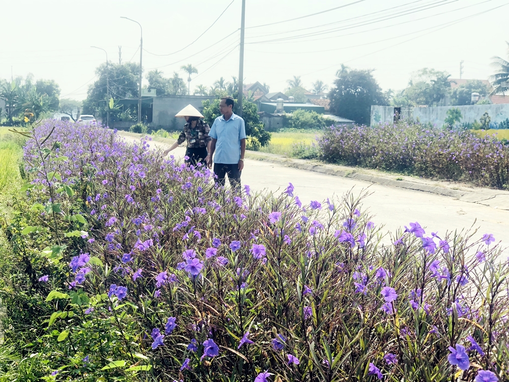 Những con đường rợp sắc hoa ở xã Điền Công.