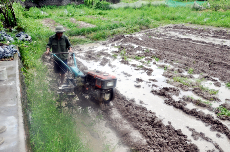 Nông dân huyện Hoành Bồ áp dụng cơ giới hoá vào sản xuất nông nghiệp. Ảnh chụp tại thôn Đồng Chùa, xã Vũ Oai
