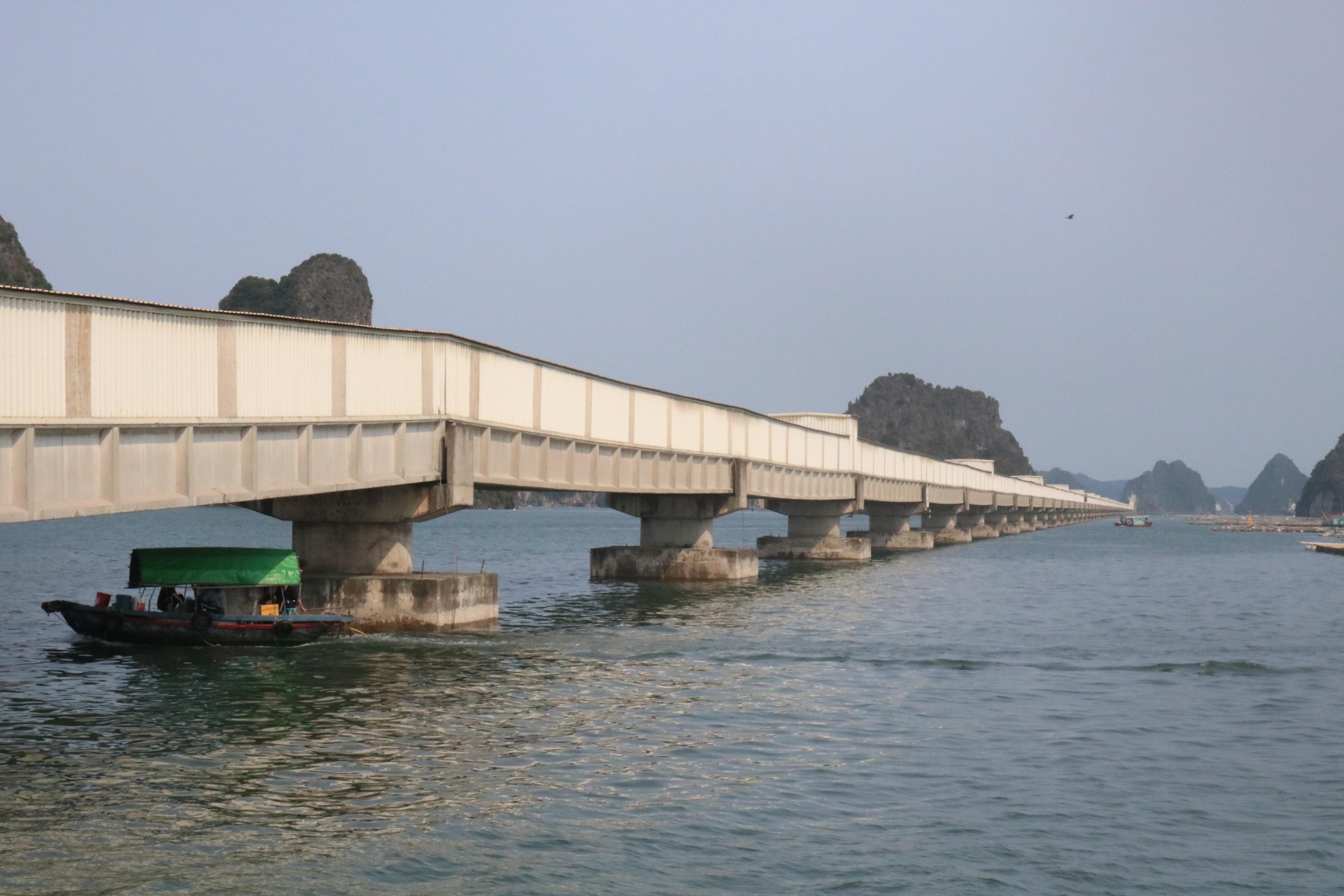 Công ty CP Xi măng Cẩm Phả đã thực hiện việc vận chuyển đá vôi từ Quang Hanh về nhà máy và thành phẩm ra cảng xuất bằng hệ thống băng tải