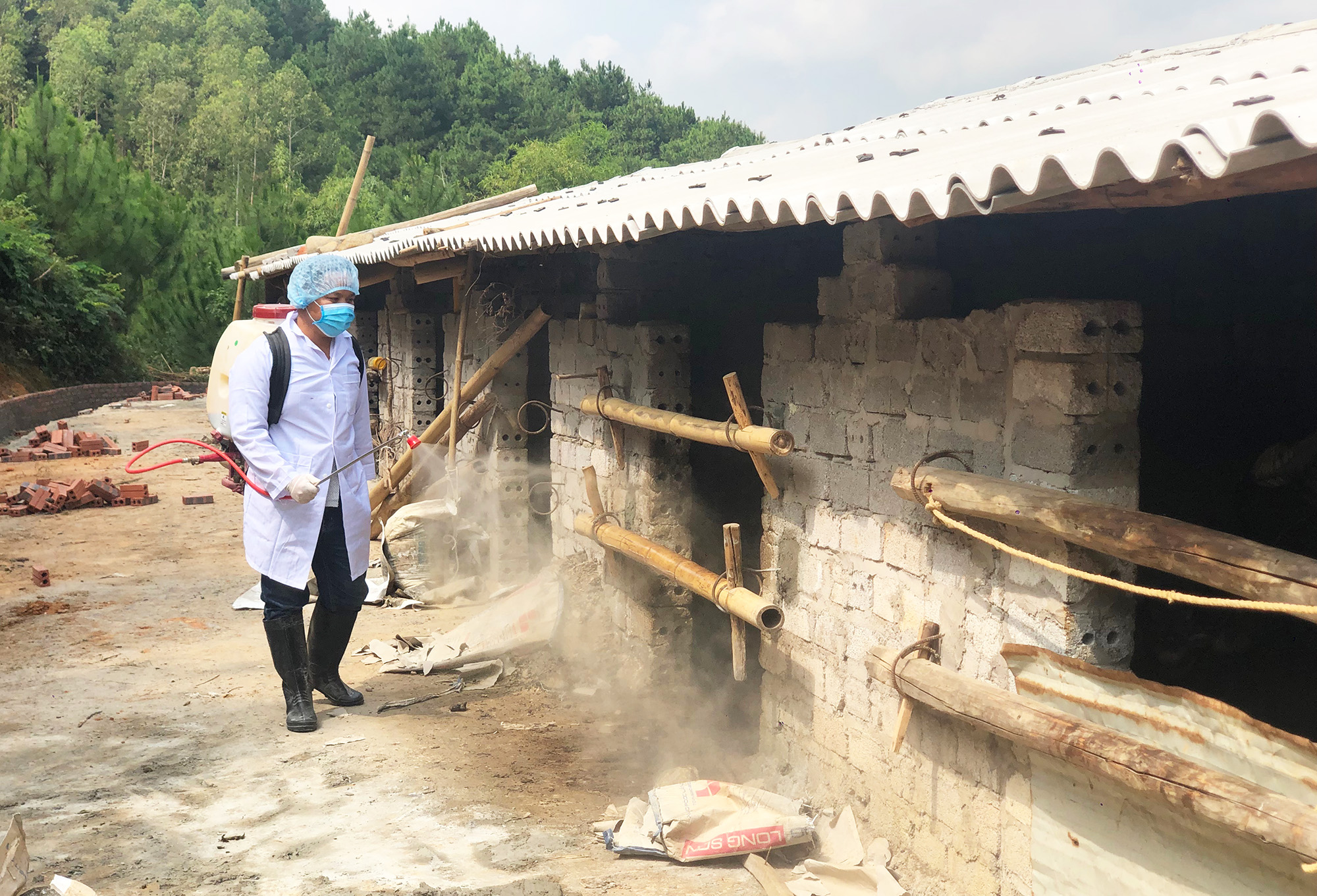 Cơ quan chức năng huyện Bình Liêu tiến hành vệ sinh tiêu độc, khử trùng chuồng nuôi gia súc 