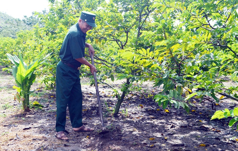 Lúc rảnh, CCB Vũ Quang Hải chăm sóc vườn cây của mình.