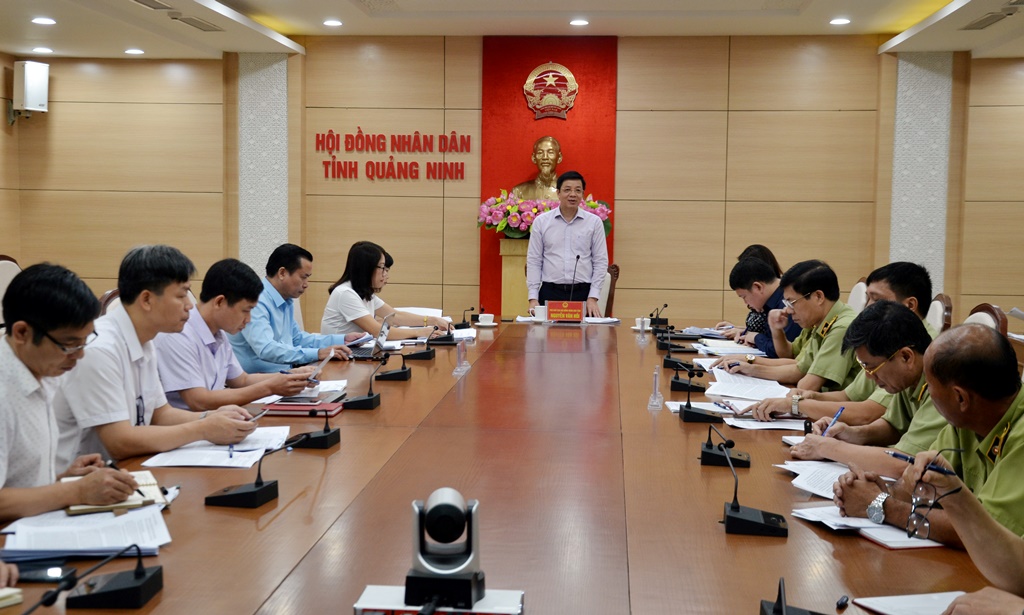 Đồng chí Nguyễn Văn Hồi, Phó Chủ tịch HĐND tỉnh, phát biểu tại cuộc họp.