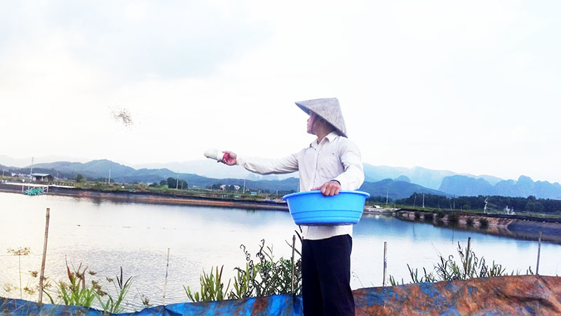 Đầm nuôi cá nằm trong mô hình kinh doanh dịch vụ của anh Phạm Văn Đoàn, thôn Tân Tiến, xã Lê Lợi, huyện Hoành Bồ.