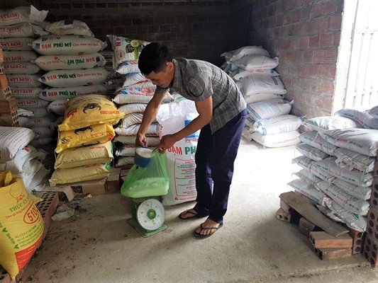 Anh Đỗ Văn Nghênh, ở xã Tiền Phong, TX Quảng Yên sử dụng phân bón trả chậm trong sản xuất nông nghiệp. (Ảnh: Ánh Tuyết, TTTT-VH TX Quảng Yên)