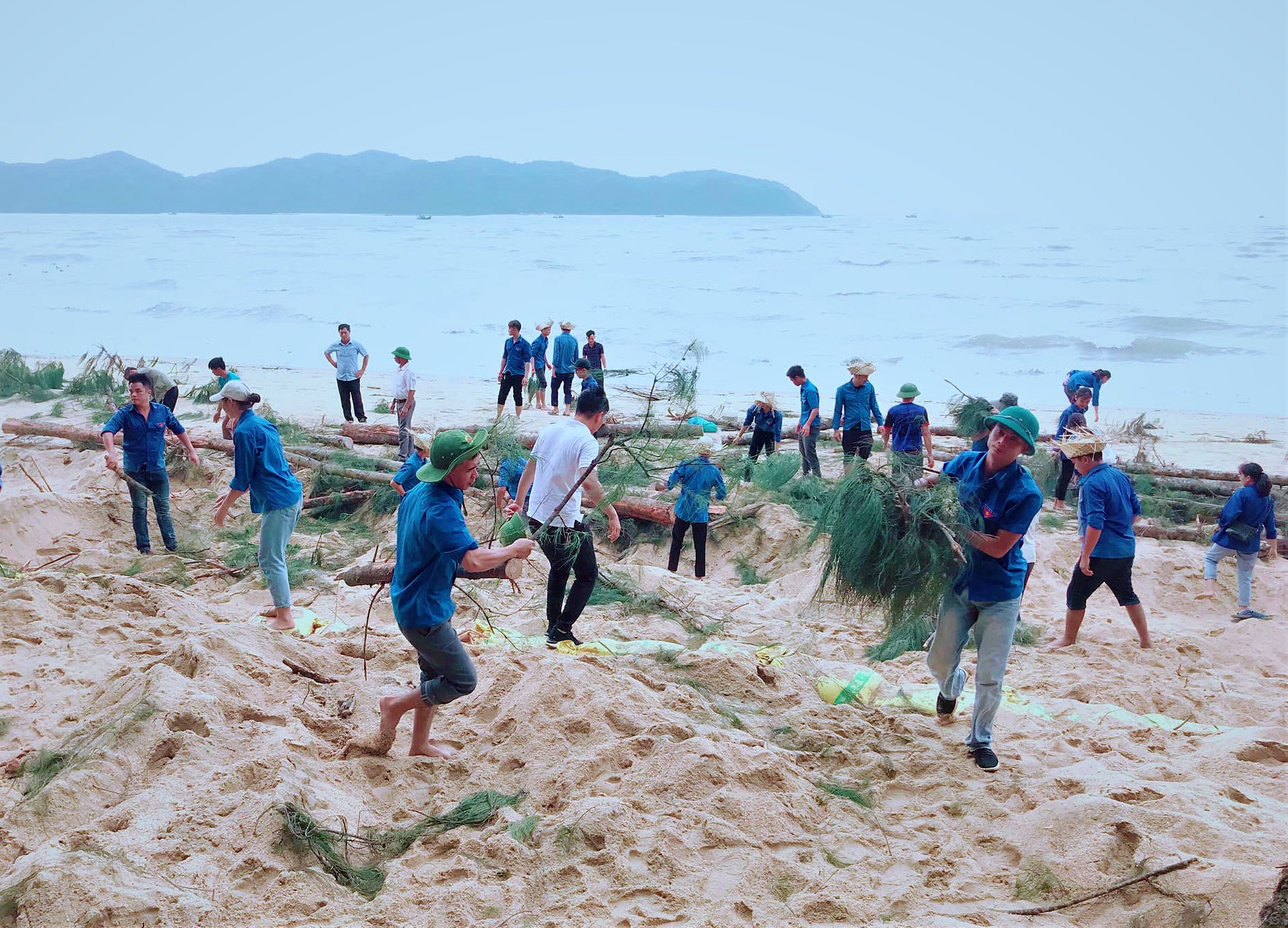 Huyện đoàn Hải Hà đã huy động 100 công giúp đỡ xã Cái Chiên trồng trên 1km đường hoa tại thôn Đầu Rồng.