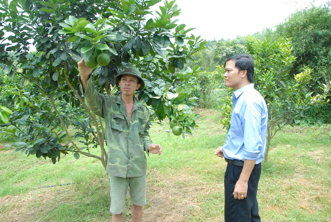 Cán bộ xã Tân Dân (huyện Hoành Bồ) năm tình hình phát triển vườn cây ăn quả của hộ nông dân trên địa bàn xã.
