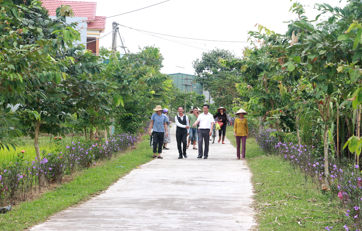Đường giao thông thôn 1, xã Quảng Chính được người dân trồng hoa, cây bóng mát. Ảnh: Mạnh Trường