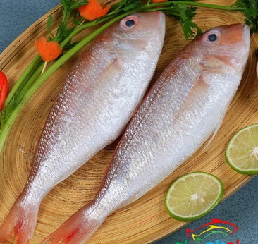 Cá là thực phẩm rất tốt cho mắt vì có rất nhiều acid béo omega-3, rất có lợi để phòng ngừa thoái hóa hoàng điểm.
