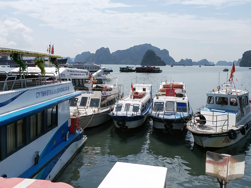 Đội tàu cao tốc của Công ty ĐTTM và dịch vụ Hoàng Gia Quảng Ninh tại bến Vũng Đục mới được đầu tư đáp ứng tốt nhu cầu vận tải hành khách từ TP Cẩm Phả đi Cô Tô, Vân Đồn