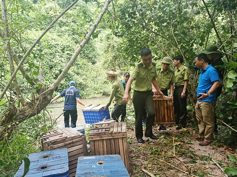 Các lực lượng tiến hành thả động vật hoang dã về môi trường tự nhiên tại đảo Ba Mùn.