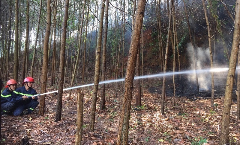 Công an huyện phối hợp với các ngành chức năng và chủ rừng thực tập phương án chữa cháy rừng tại địa phương.
