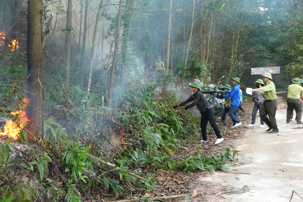 Dân quân, cán bộ, nhân dân xã Quảng Lợi (huyện Đầm Hà) tham gia diễn tập phòng cháy, chữa cháy rừng, tháng 10/2019. Ảnh: Tiến Cường (Trung tâm TT-VH Đầm Hà).