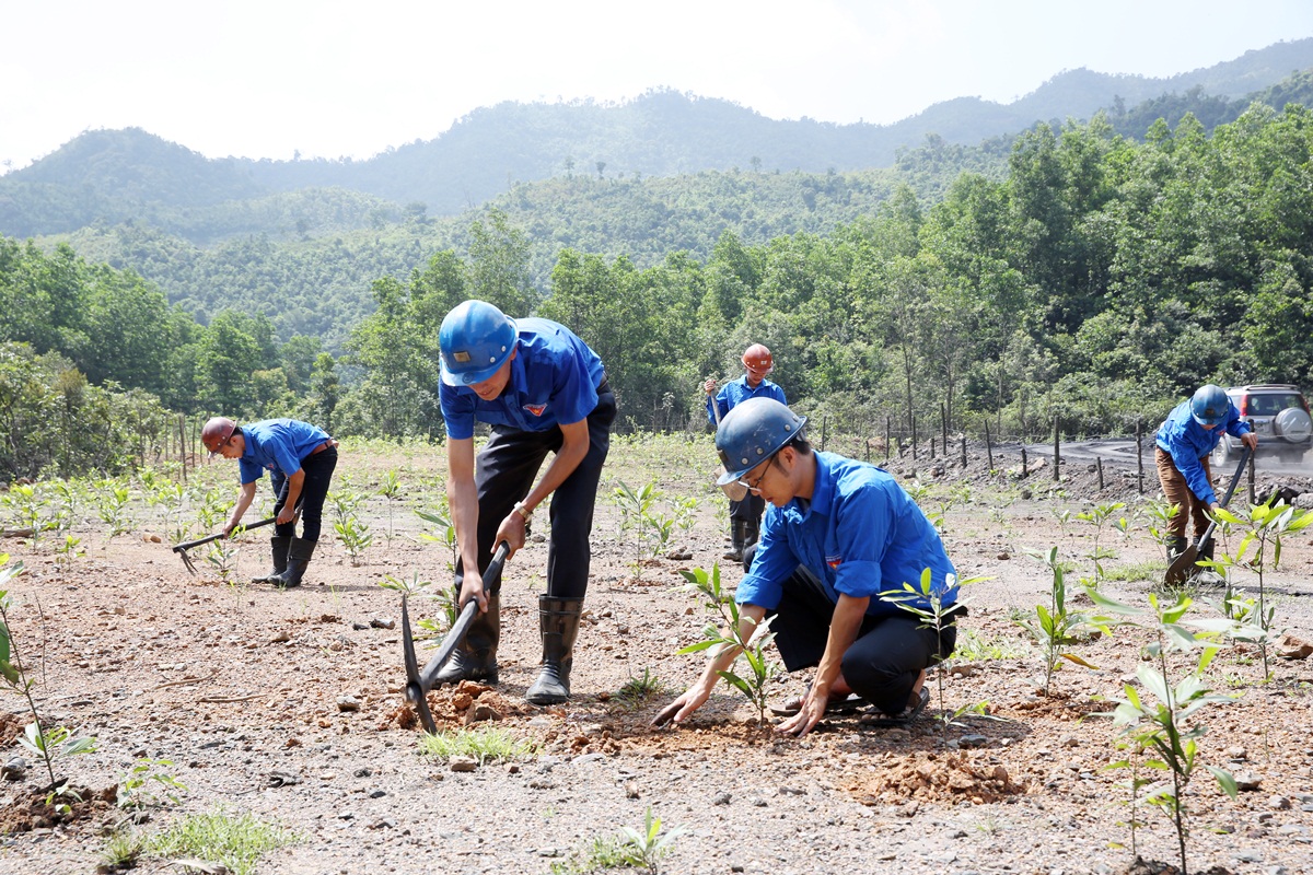 Đoàn Thanh niên TCT Đông Bắc tích cực tham gia trồng cây xanh góp phần hoàn nguyên môi trường khu vực khai thác. 