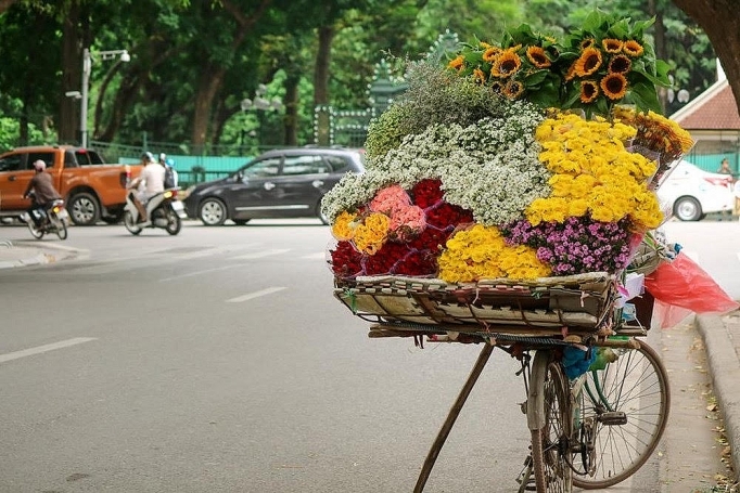 Trong những ngày thu trong lành, mát mẻ nhìn thấy những hàng hoa rong bỗng cản thấy tâm hồn trở nên thư thái, nhẹ nhàng lạ thường.