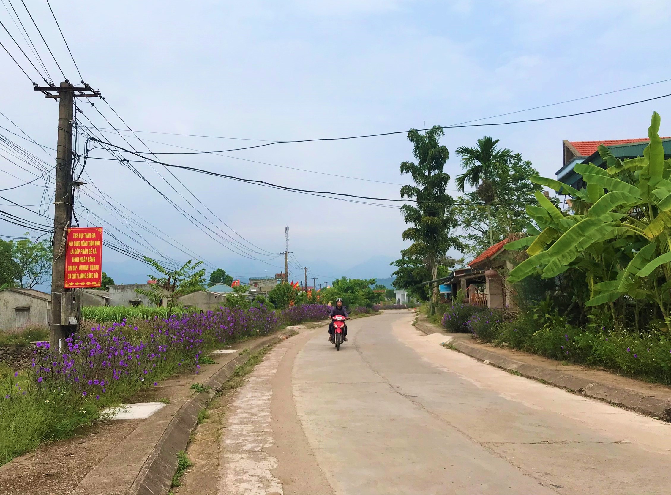 Con đường được mở rộng từ nguồn kinh phí xây dựng NTM của xã Quảng Lợi, huyện Đầm Hà. 