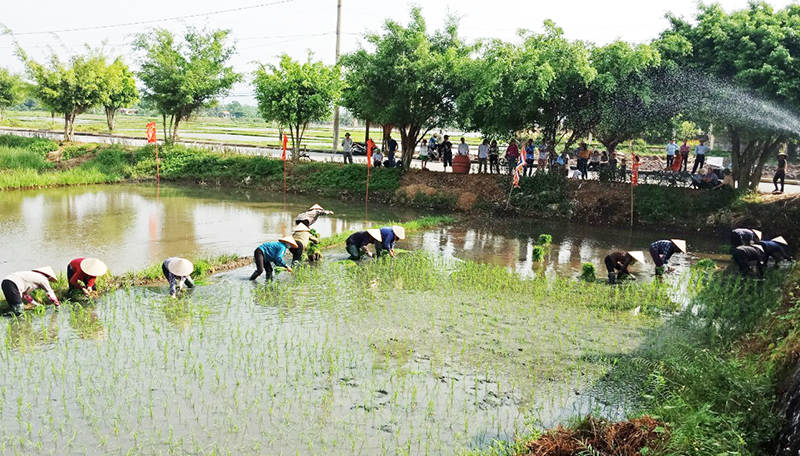 Người dân xã Điền Công hăng say sản xuất nông nghiệp